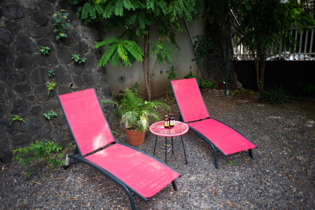 Le Bambou T3 Centre Ville Sainte Clotilde Rez De Jardin Bois de Nefles  外观 照片